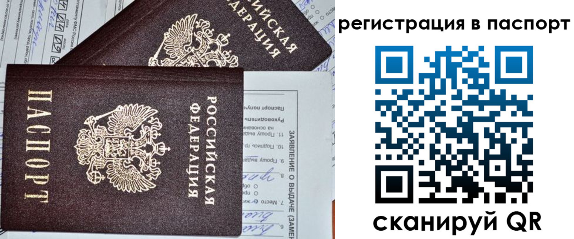 прописка законно в Александрове